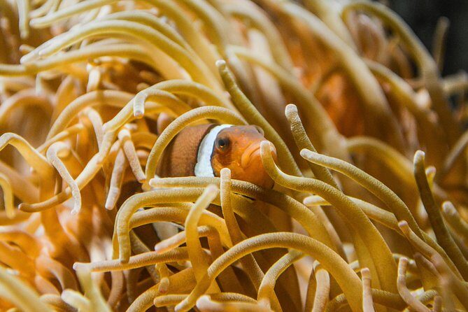 CRETAquarium Entrance Ticket in Crete - Authentic Insights from Visitors