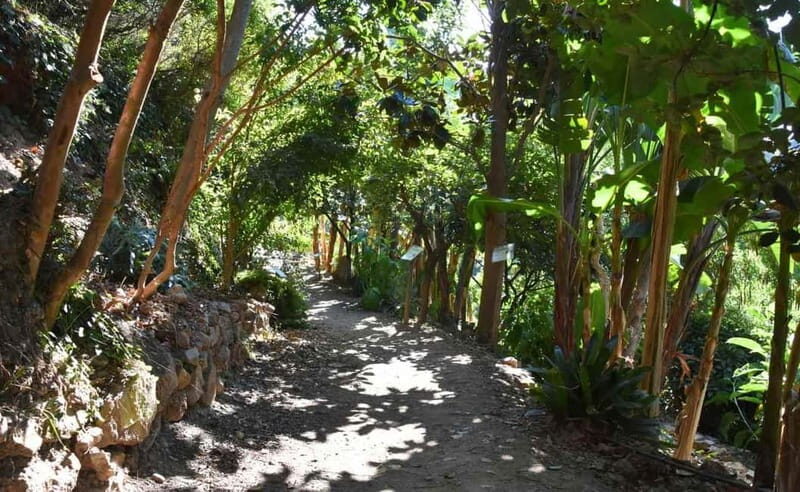 Crete Above the Clouds: Private 4x4 White Mountains Safari - Visiting Traditional Mountain Villages