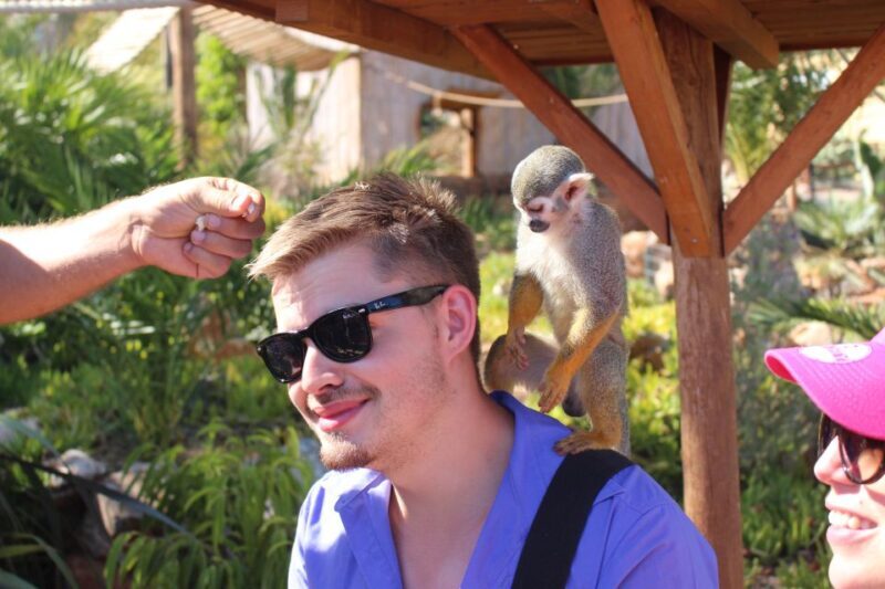 Crete: Agios Nikolaos, Kritsa and Amazonas Park Day Trip - The Sum Up: Is This Tour Worth It?