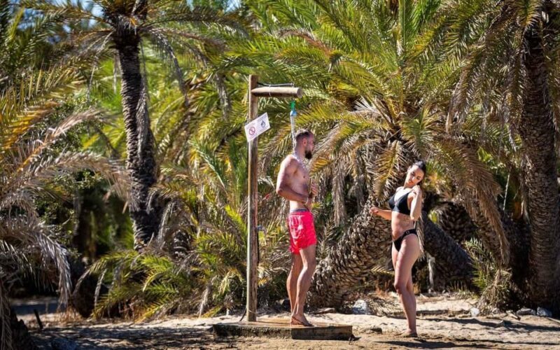 Crete and Heraklion Areas: Direct Day Trip Vai Beach - Real Experiences & Practical Insights from Travelers