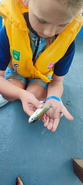 Crete: Boat Cruise with Fishing, Swimming, Lunch, and Drinks - Key Points