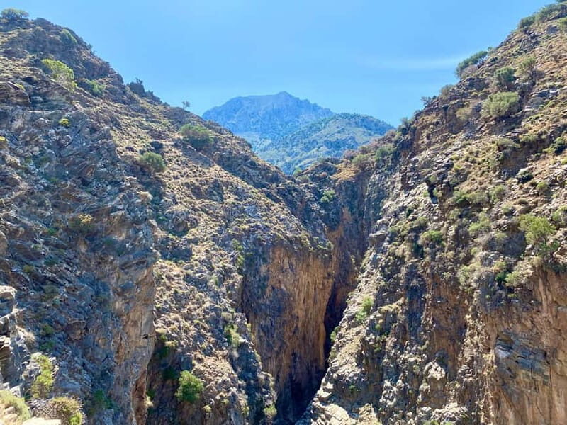 Crete: Guided Hiking Tour, Kavousi Canyon & Swimming - A Deep Dive into the Crete Guided Hiking Tour