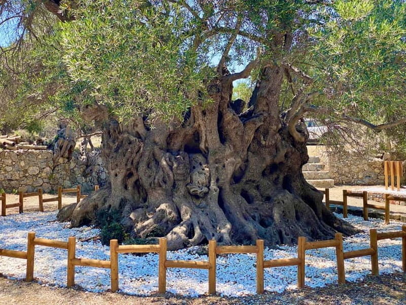 Crete: Guided Hiking Tour, Kavousi Canyon & Swimming - The Sum Up