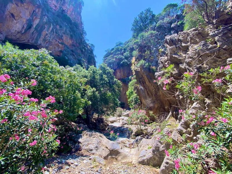 Crete: Guided Hiking Tour, Kavousi Canyon & Swimming - FAQ