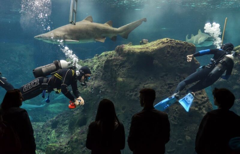 Crete: Heraklion Center, Local Market and Creta Aquarium - Key Points