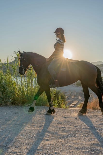 Crete Horse Riding: East Coastline Ride - A Deep Dive into the East Coastline Ride Experience