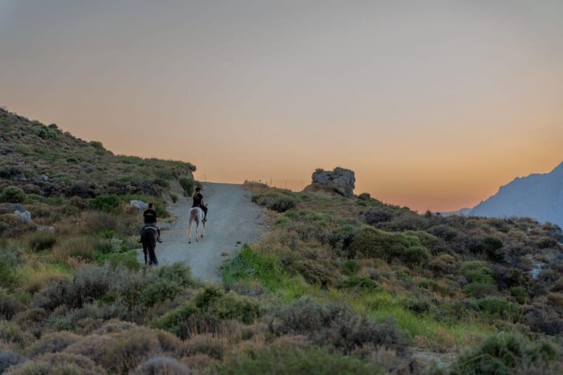 Crete Horse Riding: Mesmerising Sunset Ride - An Overview of the Experience