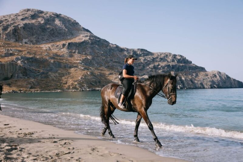 Crete Horse Riding: Plakias Beach Ride - In-Depth Look at the Plakias Beach Ride Experience