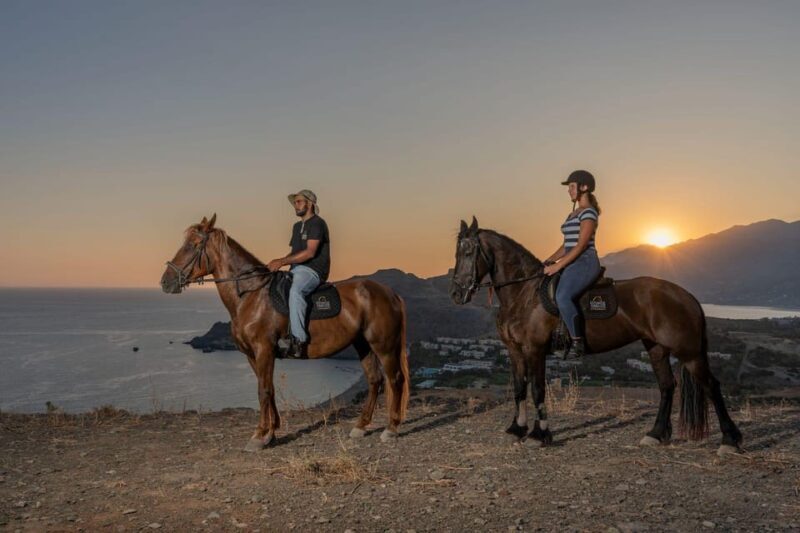 Crete Horse Riding: Saint Paisios Hill Trip - Key Points