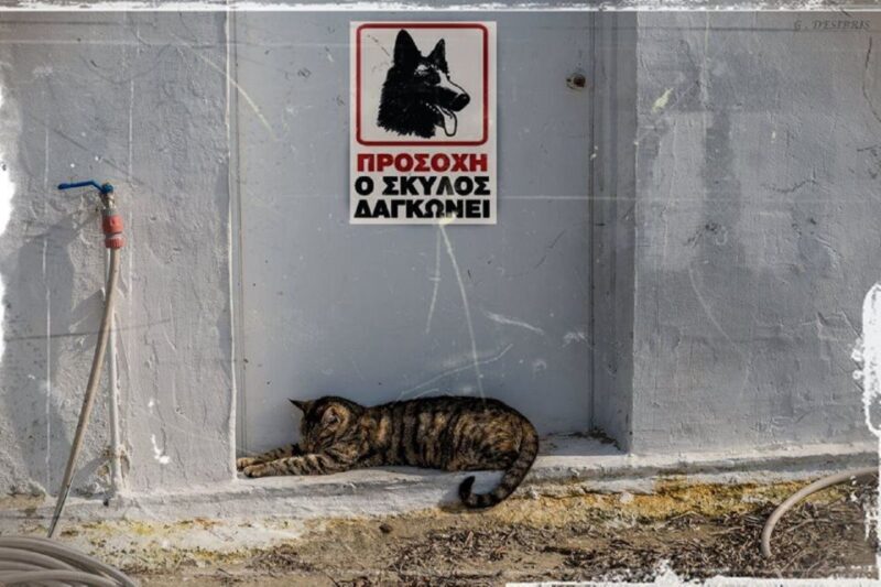 Crete: Knossos Palace and Museum Skip the line Guided tour - Final Thoughts: Is It Worth It?