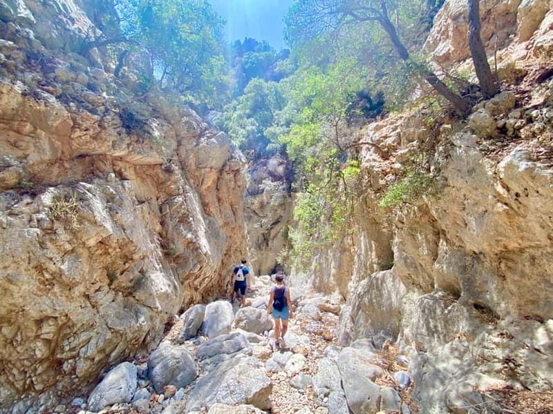 Crete: Kritsa Canyon Guided Hiking Tour - Who Will Love This Tour?