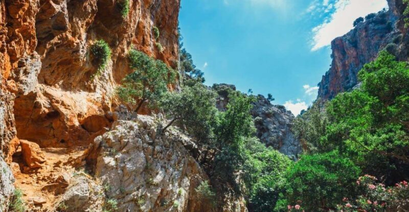 Crete: Kritsa Gorge Hike with Picnic & Swim Stop - The Value and Who It’s Best For