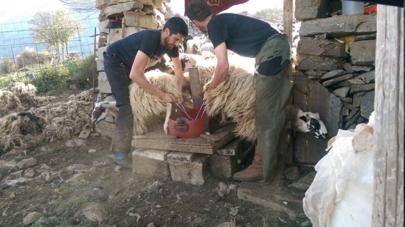 Crete: Land Rover Safari Nida Route - Final Thoughts: Who Will Love This Tour?