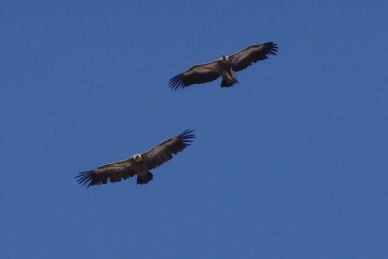 Crete: Land Rover Safari on Minoan Route - Greek Mythology Park and Local Cuisine