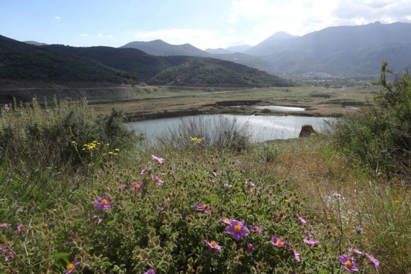 Crete: Land Rover Safari on Minoan Route - What’s Included and What’s Not