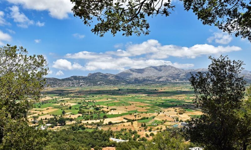 Crete: Lasithi Plateau & Knossos Palace Day Trip - Final Thoughts