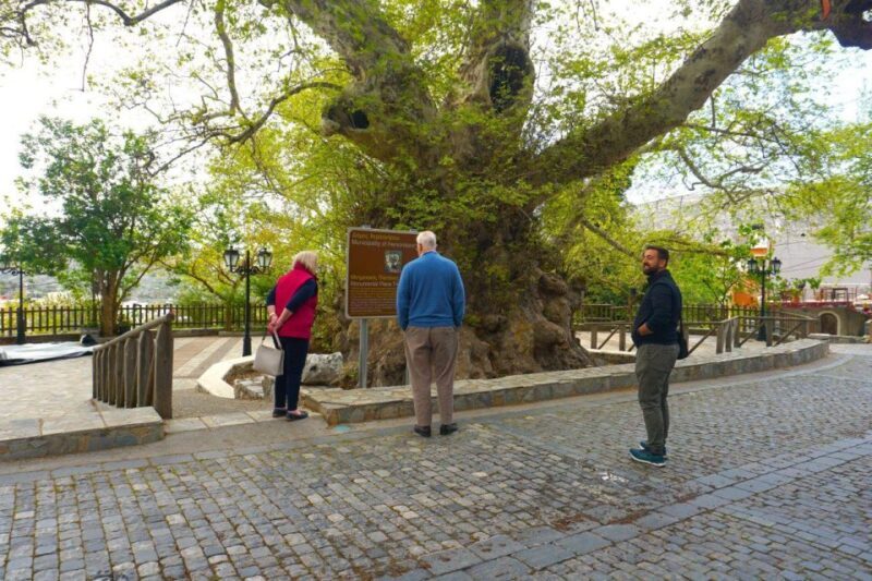 Crete: Lasithi Plateau, Mythologic Park & Villages Tour - What Makes This Tour Stand Out