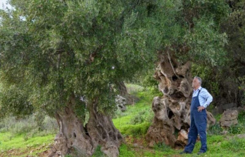 Crete: Lasithi Plateau, Zeus Cave and Olive Oil Farm Visit - Final Thoughts