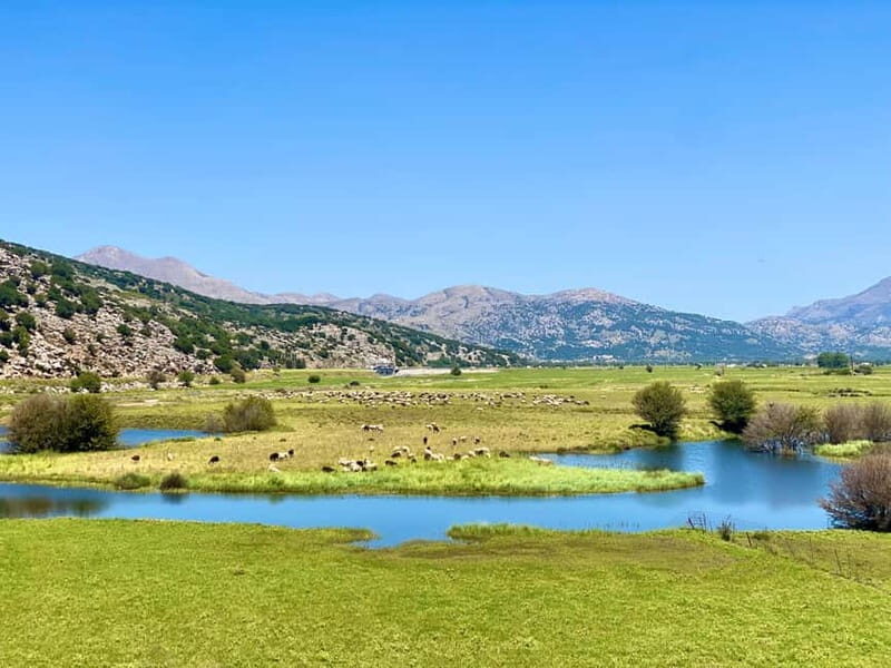 Crete: Lassithi Plateau Guided Hiking Tour - Why Choose the Lassithi Plateau Guided Hiking Tour?