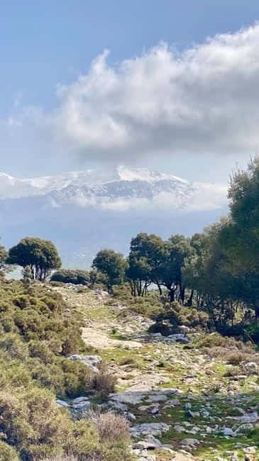 Crete: Lassithi Plateau Guided Hiking Tour - Practical Considerations