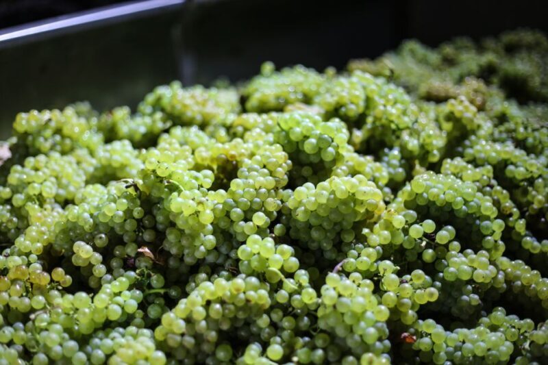 Crete: Olive, Wine, & Raki on a Flavorful Culinary Journey - Who Will Love This Experience?