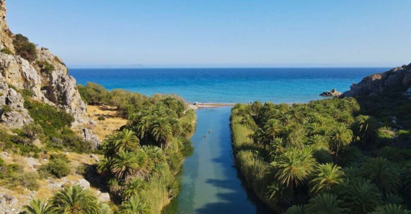 Crete: Preveli Tropical Beach and Palm Forest - The Experience – What You’ll Love