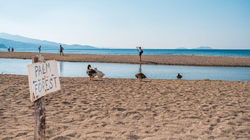 Crete: Preveli Tropical Beach and Palm Forest - The Sum Up