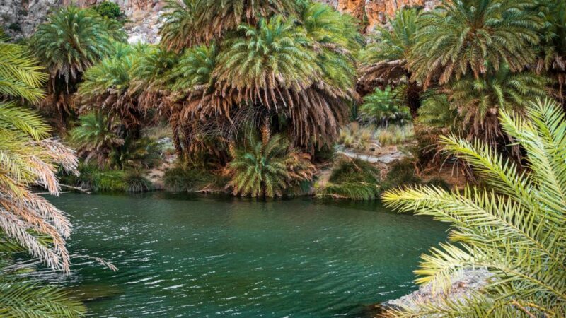 Crete: Preveli Tropical Beach - Key Points