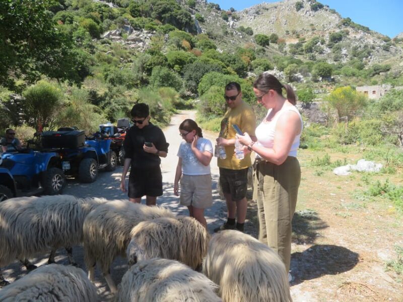 Crete Quad Safari Off-Road,Breathtaking Scenery&Amazing View - Practical Details and Group Experience