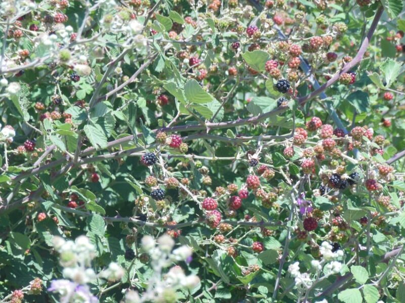 Crete Quad Safari Off-Road,Breathtaking Scenery&Amazing View - Considerations and Tips