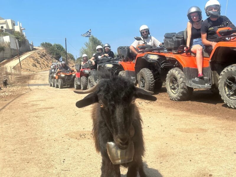 Crete: Quad Safari, Olive Mill with Tasting & Ghost Village - Key Points