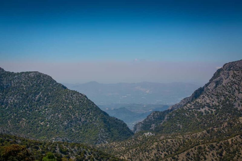 Crete: Rouvas Forest Truffle Hunt and Beekeeping Experience - Who Should Consider This Tour?