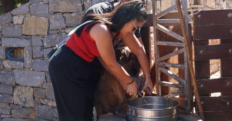 Crete: Shepherds Life & Psiloritis Mountain Tour with Meal - Who Will Love This Tour?