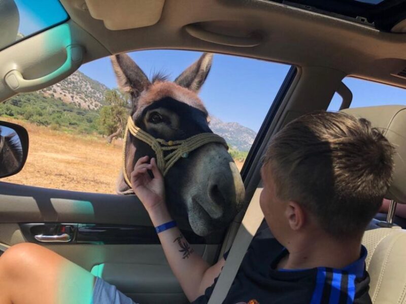 Crete: Sightseeing Day Trip with Cooking Lesson and Lunch - The Sum Up