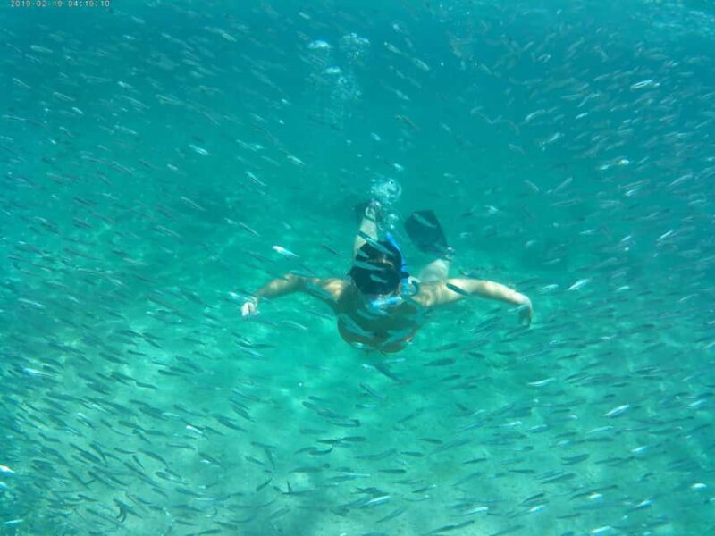 Crete: Snorkel Cretes Hidden Coves by Boat - Key Points