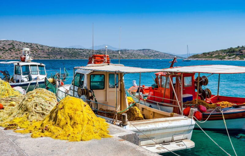Crete: Spinalonga, Agios Nikolaos and Olive Oil Farm Tour - Key Points