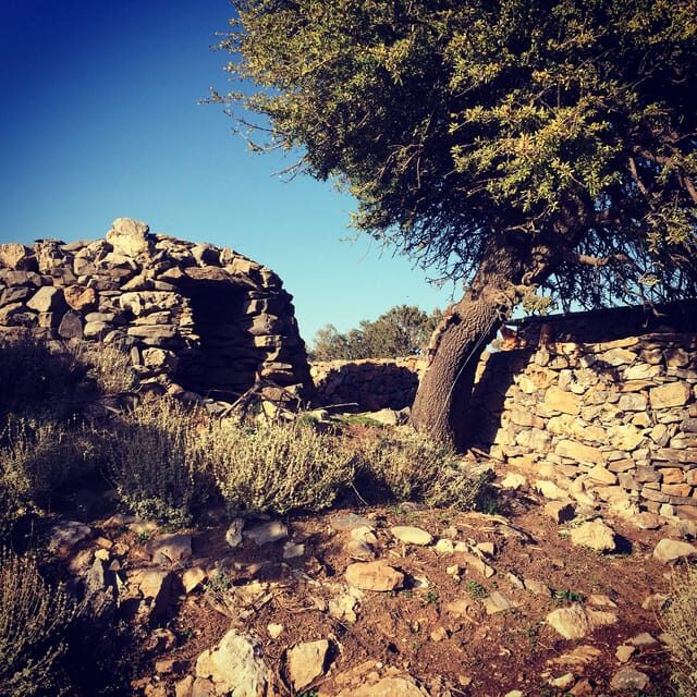 Crete: White Mountains Preserve Day Tour - The Ride Through Crete’s Scenic White Mountains