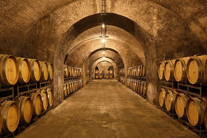 Crete Wine & Olive Oil Tour - Who Is This Tour Best For?