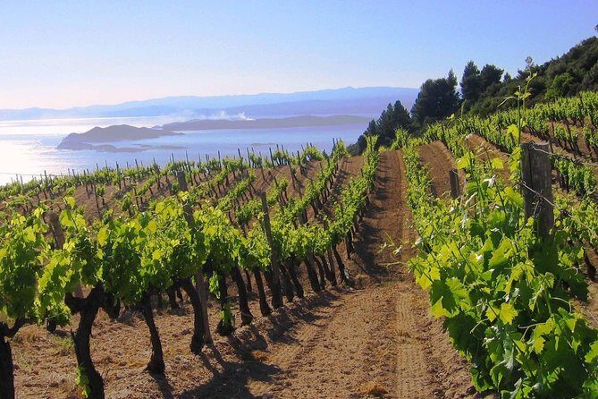 Crete Wine & Olive Oil Tour - Frequently Asked Questions