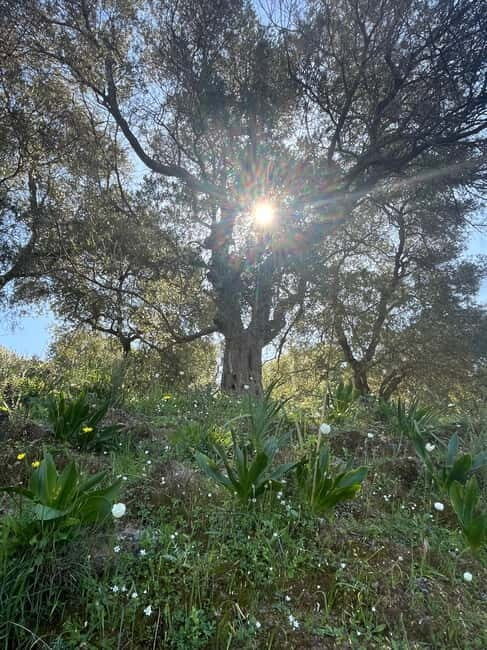 Cretes Secret Trail: Agia Irini Gorge & Sougia Escape - Key Points