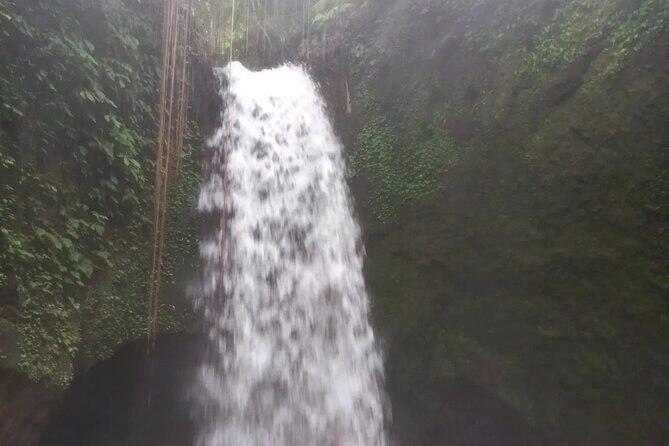 CRETYA Ubud infinity Pool + Hidden Water fall + Water Temple Tour - The Sum Up