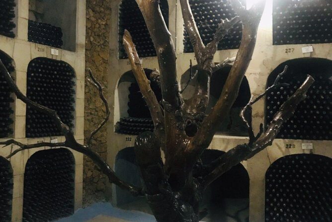 Cricova & Milestii Mici Wineries - Final Thoughts