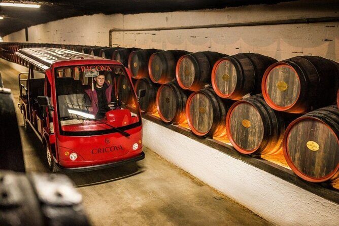 CRICOVA Winery tour with tasting from Chisinau - Introducing the Cricova Winery Tour with Tasting from Chisinau