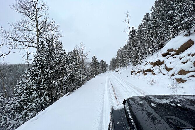Cripple Creek Back Country Jeep Tour - An In-Depth Look at the Cripple Creek Back Country Jeep Tour