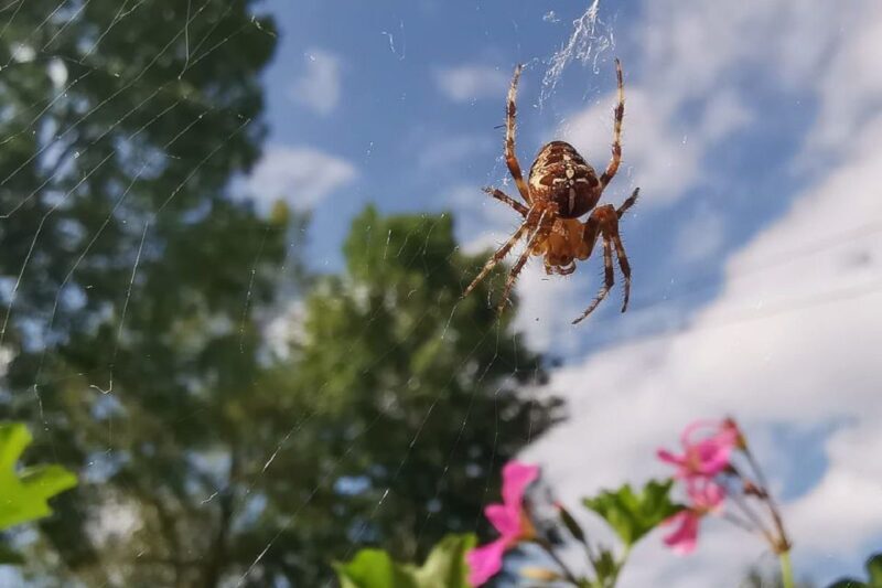 Croatia: Plitvice Lakes Private Tour with Hotel Pickup - Key Points