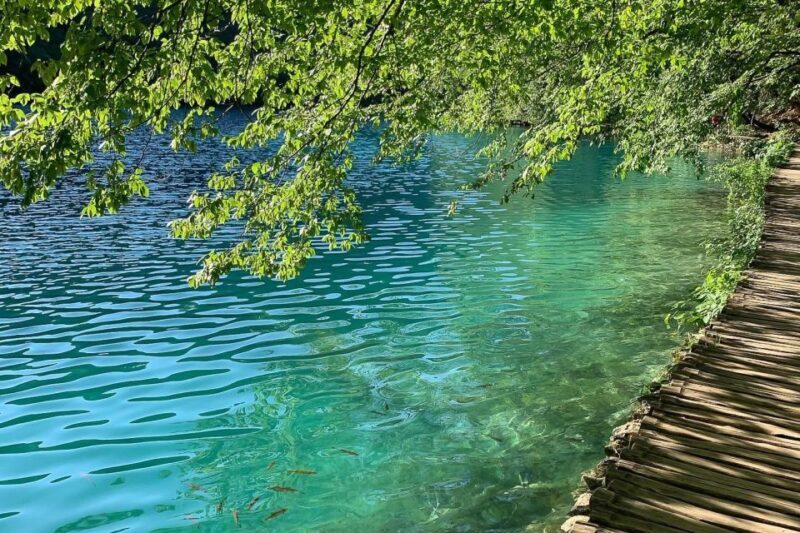 Croatia: Plitvice Lakes Private Tour with Hotel Pickup - What Makes This Tour Stand Out?