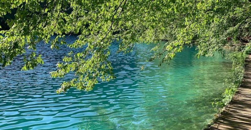 Croatia: Plitvice Lakes Private Tour with Hotel Pickup - What to Expect in Terms of Logistics and Comfort