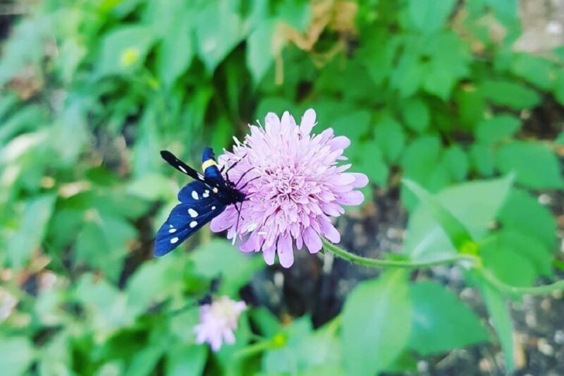 Croatia: Plitvice Lakes Private Tour with Hotel Pickup - Who Will Love This Tour?