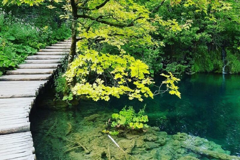 Croatia: Plitvice Lakes Private Tour with Hotel Pickup - The Sum Up