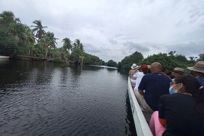 Crocodiles and Turtles Ecological Tour - Authenticity and Value